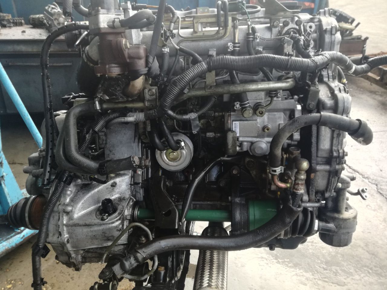 MOTORE NISSAN YD22 84 KW 2200 TD 2000 - 2007 - immagine 5