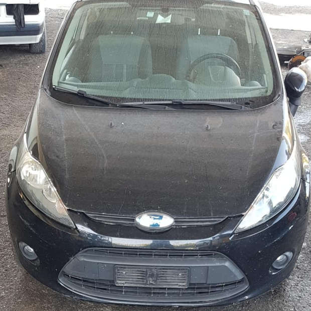 MUSATA COMPLETA FORD FIESTA DAL 2008 AL 2017